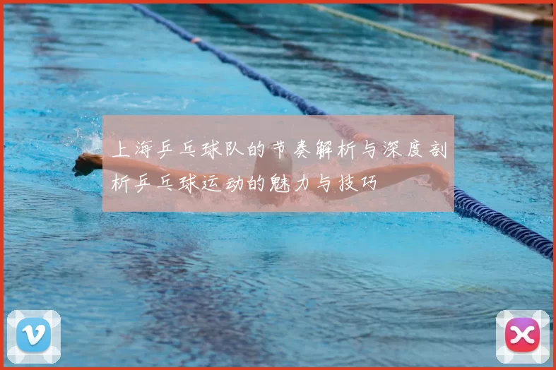 上海乒乓球队的节奏解析与深度剖析乒乓球运动的魅力与技巧