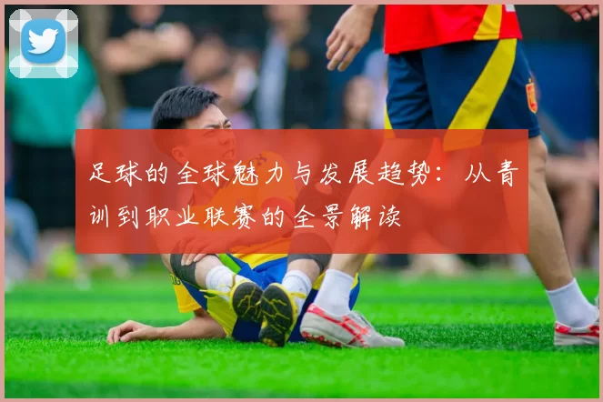 足球的全球魅力与发展趋势：从青训到职业联赛的全景解读
