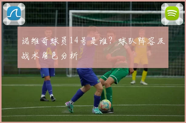 诺维奇球员14号是谁？球队阵容及战术角色分析