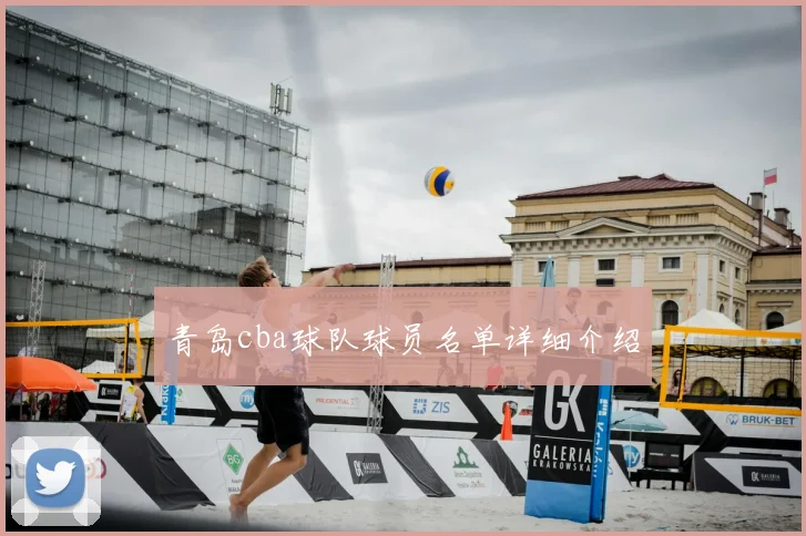 青岛cba球队球员名单详细介绍