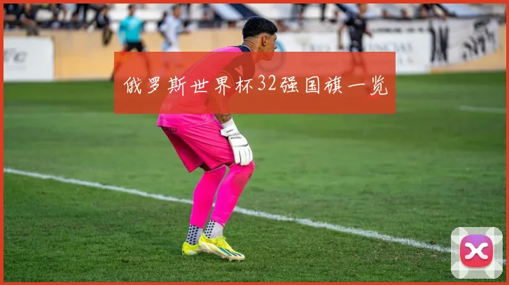 俄罗斯世界杯32强国旗一览