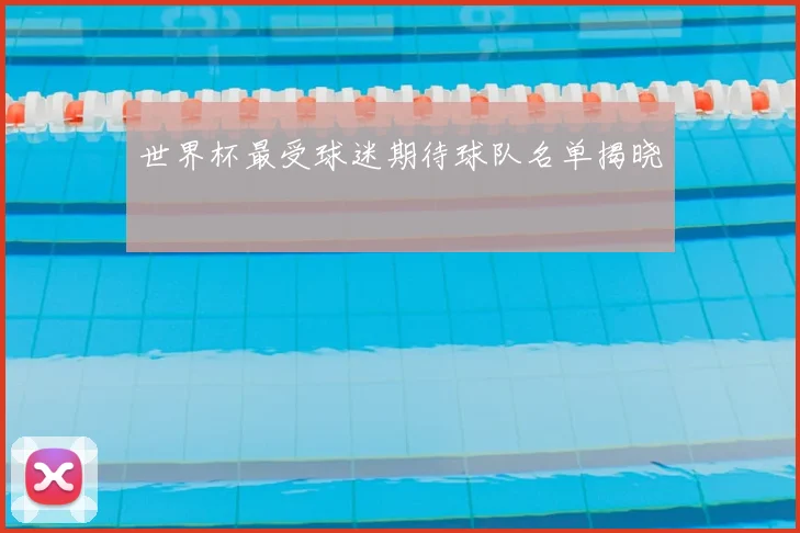 世界杯最受球迷期待球队名单揭晓