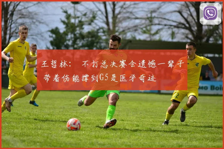 王哲林: 不打总决赛会遗憾一辈子 带着伤能撑到G5是医学奇迹