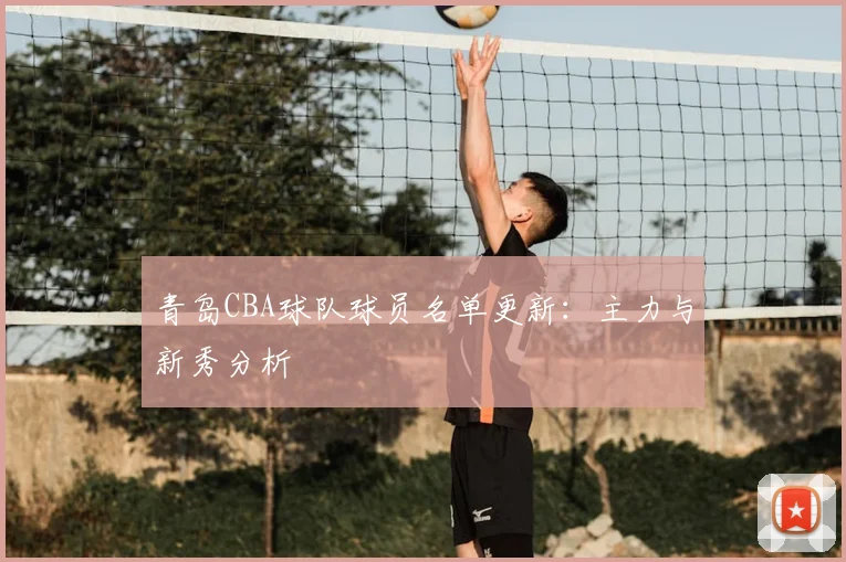 青岛CBA球队球员名单更新：主力与新秀分析