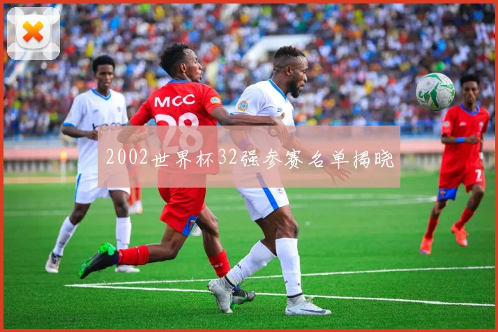 2002世界杯32强参赛名单揭晓