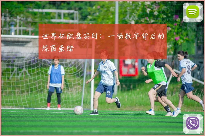 世界杯欧盘实时:一场数字背后的绿茵豪赌