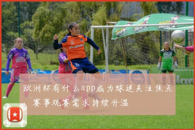 欧洲杯有什么app成为球迷关注焦点，赛事观赛需求持续升温