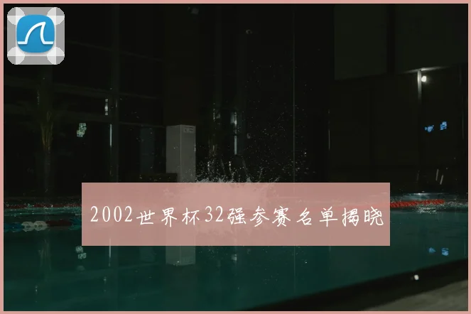 2002世界杯32强参赛名单揭晓