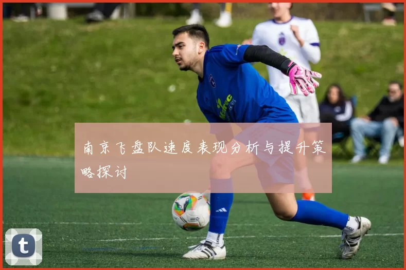 南京飞盘队速度表现分析与提升策略探讨