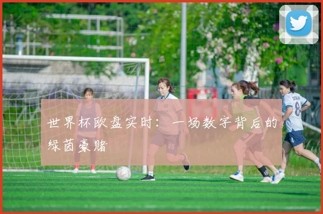 世界杯欧盘实时：一场数字背后的绿茵豪赌
