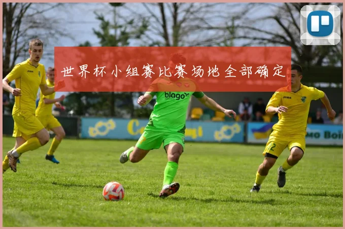 世界杯小组赛比赛场地全部确定