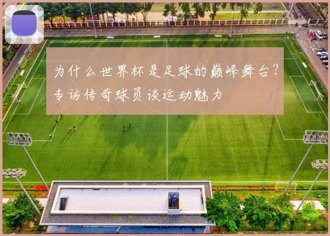 为什么世界杯是足球的巅峰舞台？专访传奇球员谈运动魅力