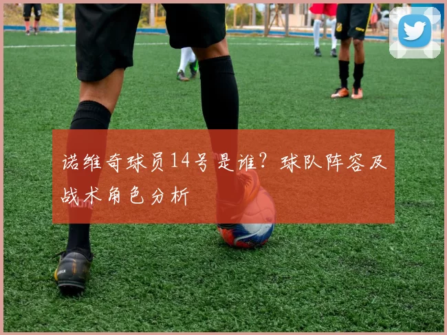 诺维奇球员14号是谁？球队阵容及战术角色分析