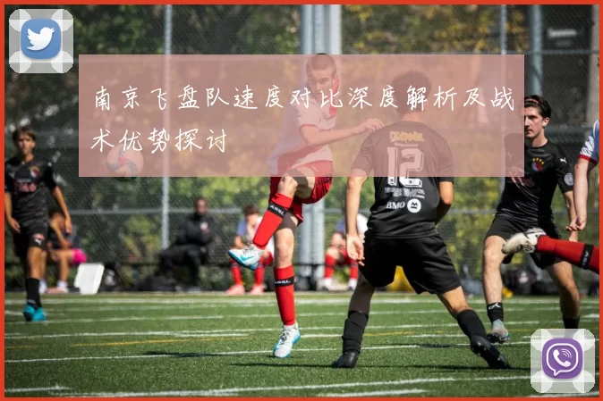 南京飞盘队速度对比深度解析及战术优势探讨