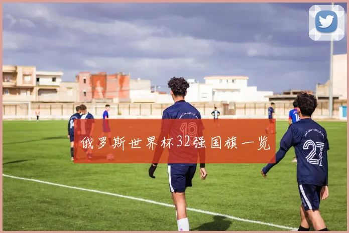 俄罗斯世界杯32强国旗一览