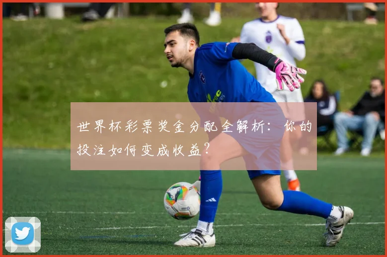 世界杯彩票奖金分配全解析：你的投注如何变成收益？