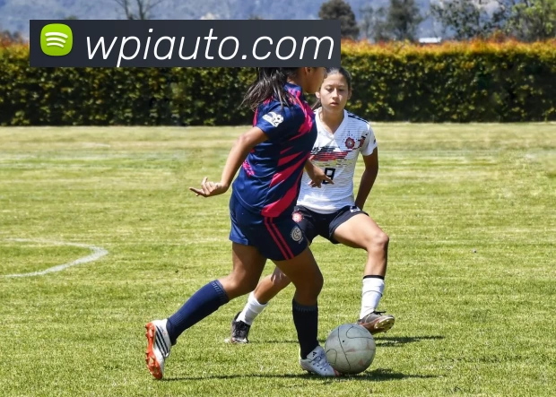 App Interface Preview